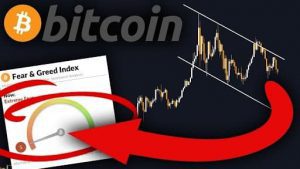 شاخص ترس و طمع