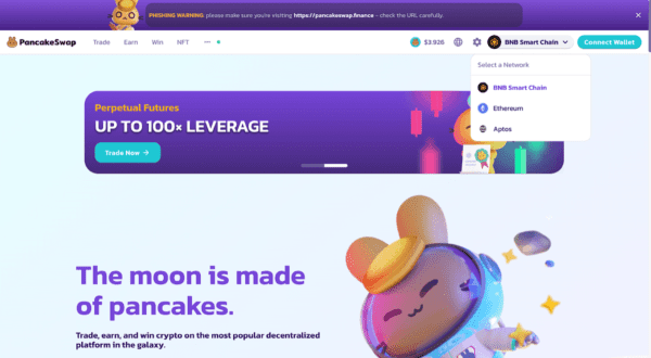 انتخاب شبکه برای ترید، بخشی از آموزش پنکیک سواپ در تراست والت