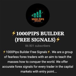 کانال سیگنال فارکس 1000 Pips Builder