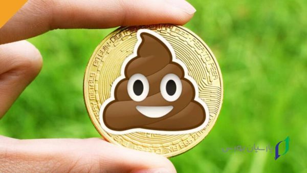 مزایا و معایب سرمایه گذاری روی شت کوین ها