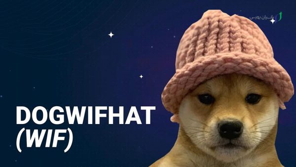 داگ ویف هت، جزو بهترین شت کوین های انفجاری