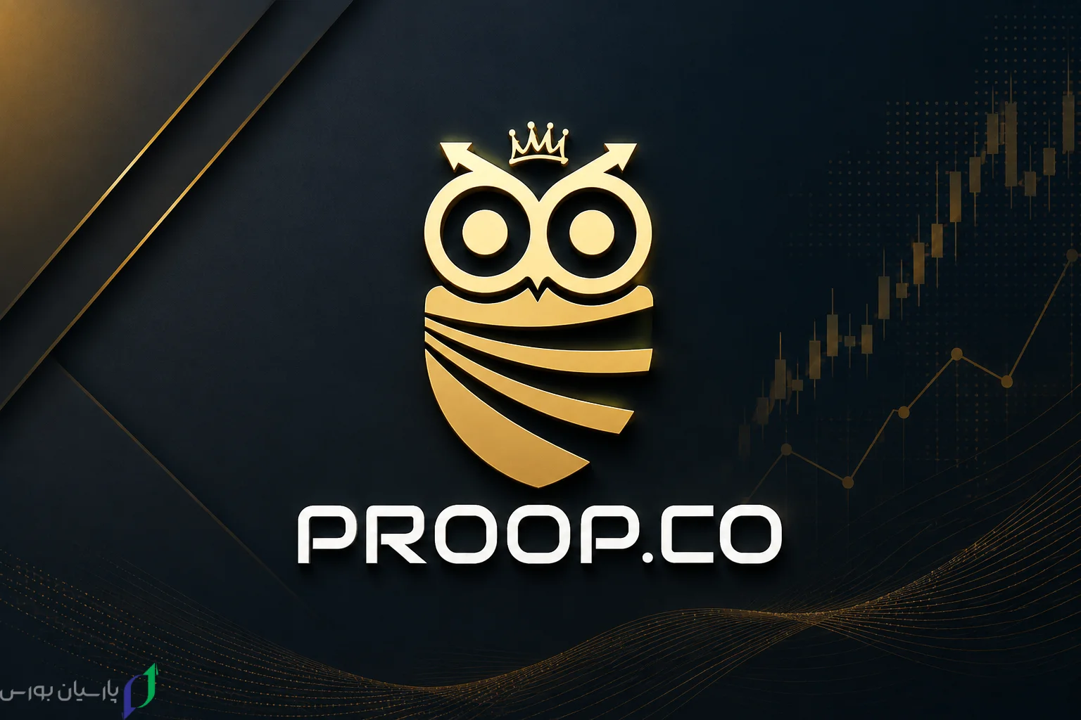 3 ProopCo Logo