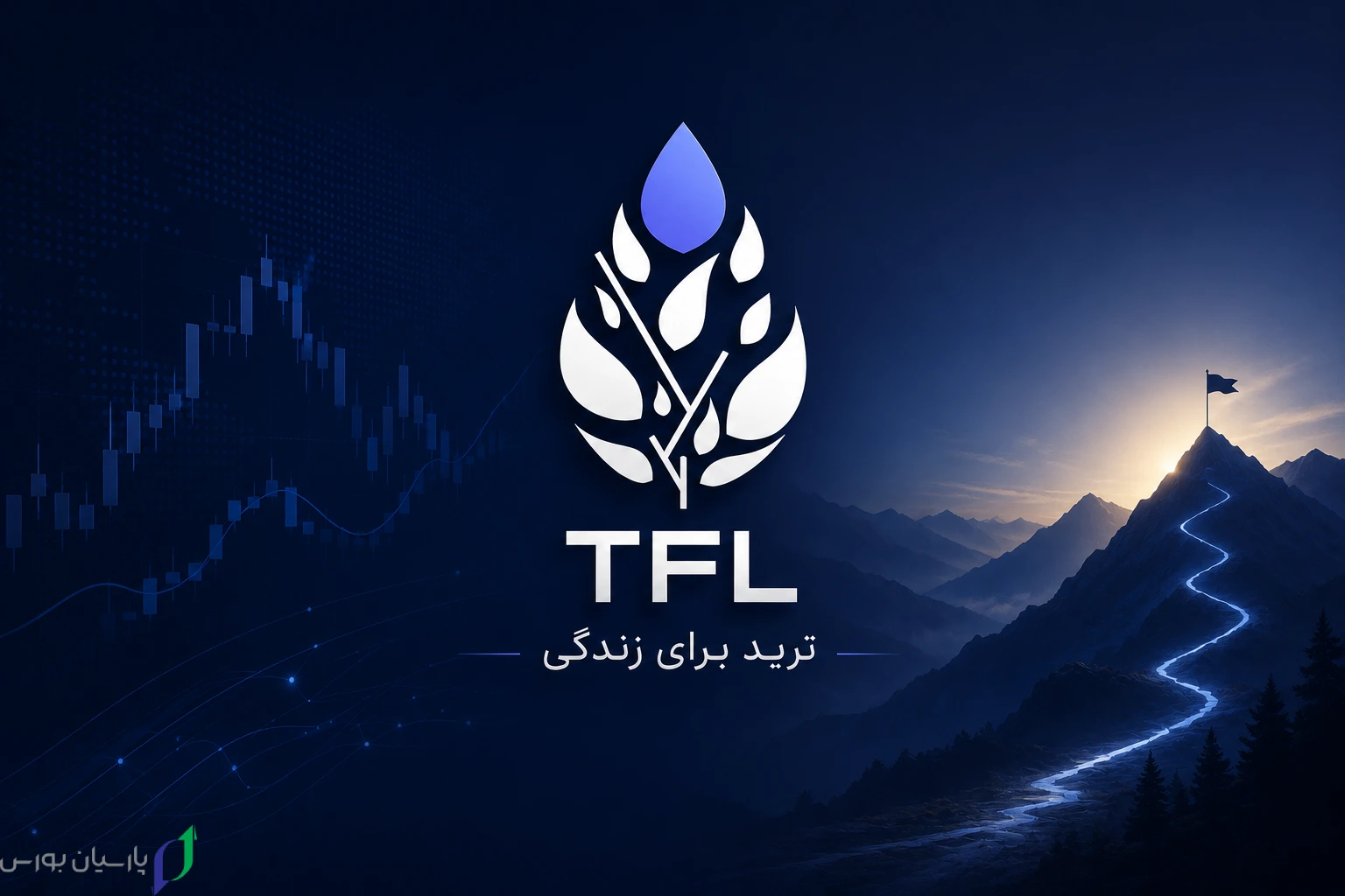 7 TFL Logo