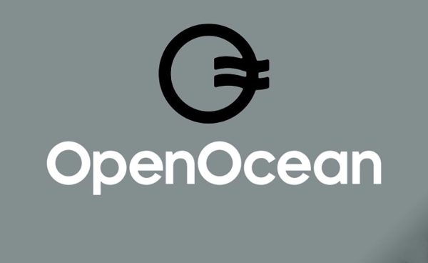 10 تا از بهترین صرافی بدون احراز هویت برای خرید ارز دیجیتال 11 صرافی OpenOcean