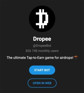 ایردراپ Dropee